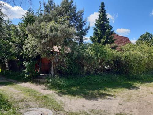Gallery image of LUNA nad jeziorem Wojnówko gm Murowana Goślina in Wojnówko