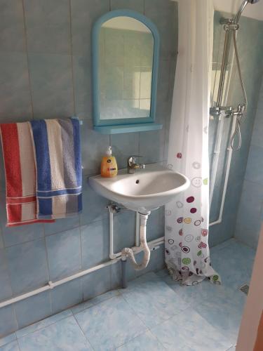 a bathroom with a sink and a mirror at Pastravaria Romani in Horezu