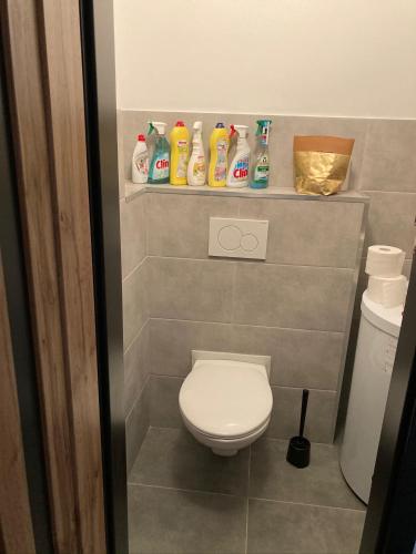 a bathroom with a toilet and cleaning products on a shelf at Apartmán Český Ráj in Jičín