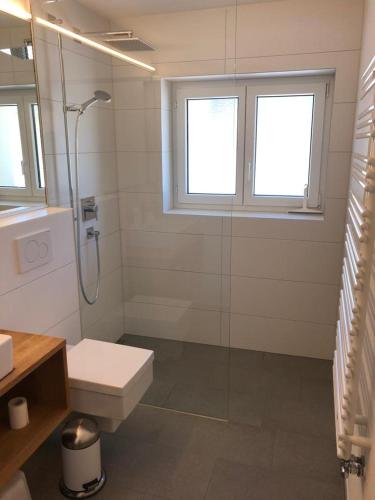 La salle de bains est pourvue d'une douche, de toilettes et d'un lavabo. dans l'établissement Haus Allod 201 Gretler, à Lenzerheide