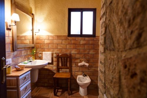 a bathroom with a sink and a toilet at Finca El Cotillo in Linares