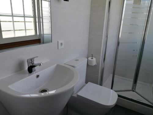 a bathroom with a sink and a toilet and a shower at PR Una Estrella Dorada in O Pedrouzo