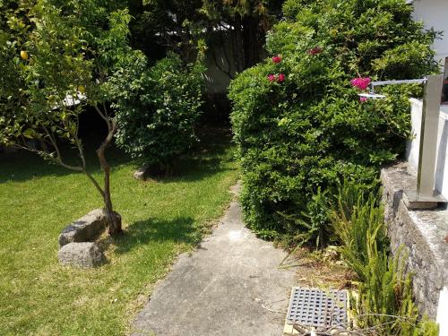 a garden path with a small tree and bushes at AirPorto Hostel in Maia