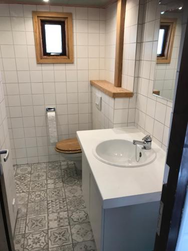 a bathroom with a sink and a toilet at Chalet westerham in Winsum