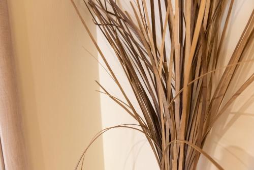 a vase with a bunch of grass in it at Evdokia's Apartments and Rooms in Neos Marmaras