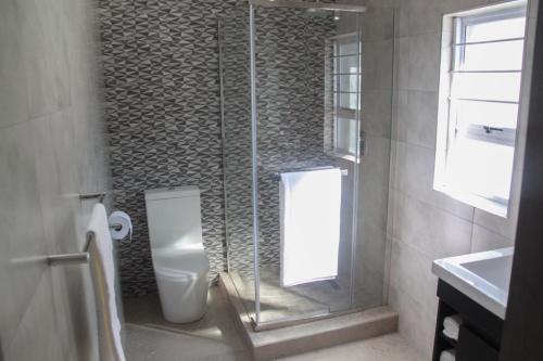a bathroom with a shower with a toilet and a window at The Cato Suites Hotel in Durban