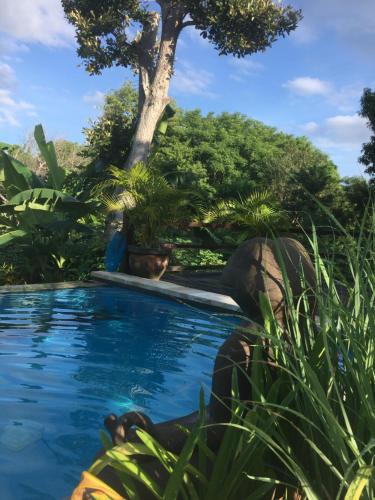 a person laying in the grass next to a swimming pool at Le Biu garden View in Nusa Lembongan