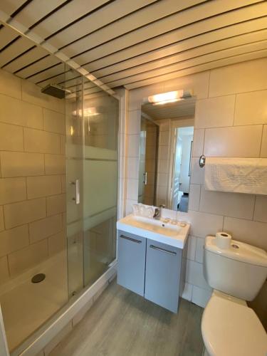 a bathroom with a toilet and a shower and a sink at Hotel du Centre Lucé Chartres in Luce