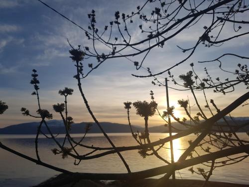 a view of the sun setting over a body of water at Hardanger Fjordtun TREETOPCABIN, nature, birds, silence, fjord and many nice hikes nearby in Herand