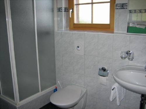 a bathroom with a shower and a toilet and a sink at Er Liung - Ferienwohnung für max. 3 Personen in Falera