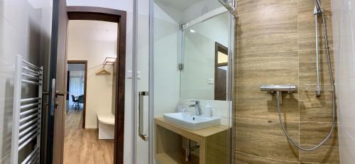 Kúpeľňa v ubytovaní Apartmánový dom Poludnica I., Chopok Juh, Jasná