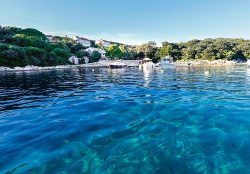 Foto dalla galleria di Guesthouse Kurelic Rab a Kampor