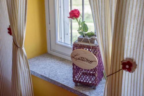 a vase with a flower sitting on a window sill at Mini-Appartamenti, Camere Lanterna Blu in Mombello Monferrato