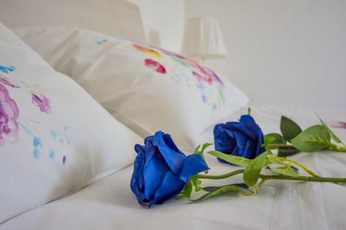a group of blue roses sitting on a white couch at Mini-Appartamenti, Camere Lanterna Blu in Mombello Monferrato