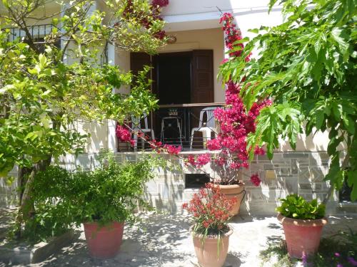 Zahrada ubytování Evgenia's House