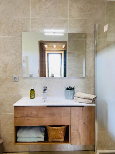 a bathroom with a sink and a mirror at MAS DES 2 PLATANES in Arles