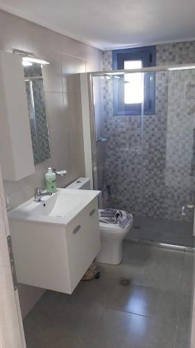 a bathroom with a sink and a toilet and a shower at Marko's Cozy Apartment in Megalochori