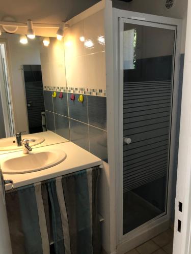 une salle de bain avec un lavabo et une douche avec un miroir dans l'établissement Pavillon Farniente, à Saint-Palais-sur-Mer