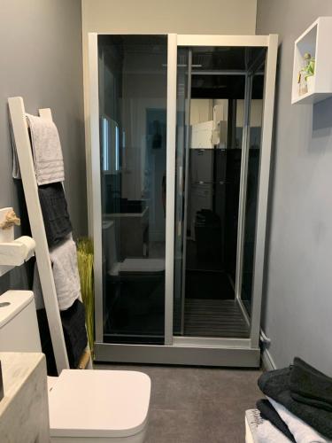 La salle de bains est pourvue d'une douche en verre et de toilettes. dans l'établissement Dolce Vita **** vue sur Cathédrale, à Boulogne-sur-Mer