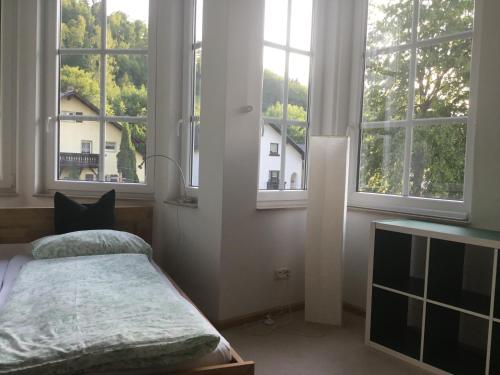 Un dormitorio con dos ventanas y una cama con un gato. en Auberge Tabarz Zimmerberg en Tabarz