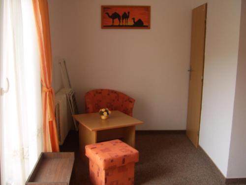 a small table and a chair in a room at Penzion Zlatá rybka in Podhájska
