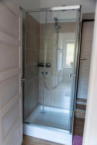 a shower with a glass door in a bathroom at Apartmán u Větrníku in Jihlava