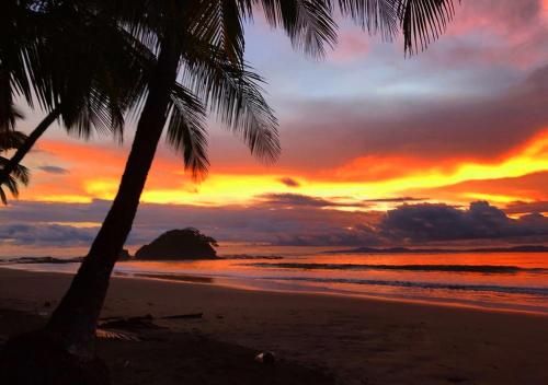 a sunset on a beach with two palm trees at Punta Duarte Garden Inn in Los Duarte