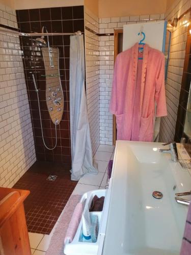 une salle de bain avec un lavabo et une douche dans l'établissement Chambre chez l'habitant, à Tourbes