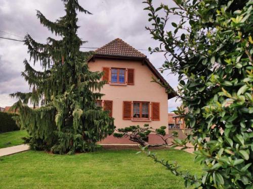 a house with a tree in front of it at Chambre d’hotes chez Sylviane in Niederhergheim