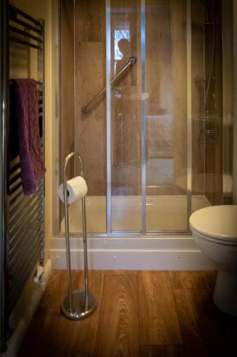 a bathroom with a shower and a toilet at Brockley Hall Hotel in Saltburn-by-the-Sea
