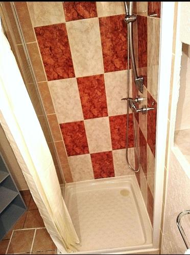 La salle de bains est pourvue d'une douche et d'un sol en damier. dans l'établissement Appartement T1 quartier château de Pau, à Pau