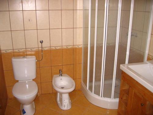 a bathroom with a toilet and a shower and a sink at Birsalma Vendégház in Markaz