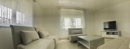 sala de estar con sofá y TV en Apartments Andrej en Ptuj