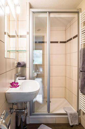 a bathroom with a shower and a sink at Bio Bauernhof Schweizerhof in Bad Hofgastein