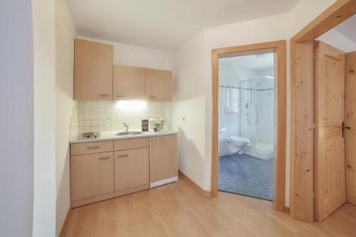 - une cuisine avec un lavabo et des toilettes dans la chambre dans l'établissement Strickerhof - Appartment 2, à Saltusio