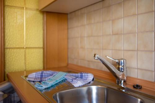 um lavatório de cozinha com dois pratos azuis em Apartment 5 - Zur Sonne em Laion