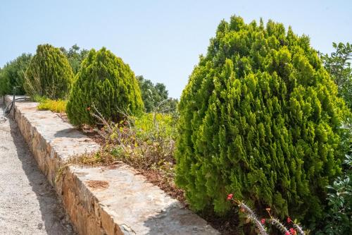Jardin de l'établissement Miracle View Villas