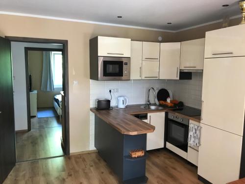 Dapur atau dapur kecil di Central Apartman