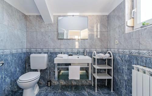 a bathroom with a sink and a toilet and a mirror at Apartman Marina in Murvica