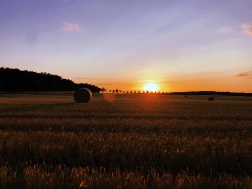 a sunset in a field with hay bales at Hotel Zur Linde Dein Self Check In in Michendorf