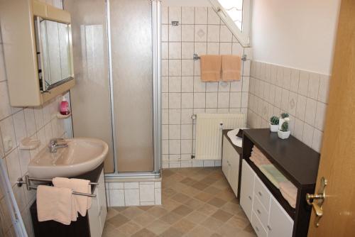 een badkamer met een douche en een wastafel bij Ferienwohnungen Manne Peters in Müden in Faßberg