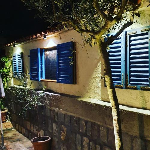a building with blue shuttered windows and a tree at Villa Stella Rose in Lustica