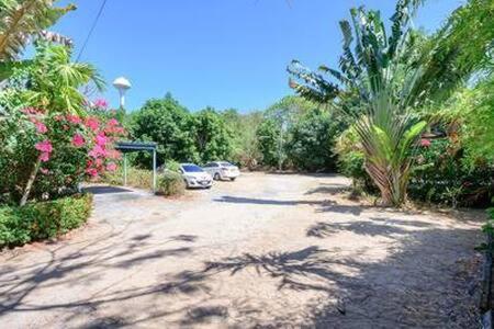 a dirt road with cars parked on the side at Palm Village in Rawai Beach