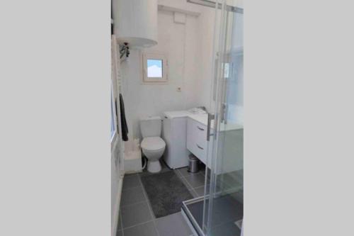 une salle de bain avec toilettes et douche en verre dans l'établissement Cauterets T2 coeur village, à Cauterets