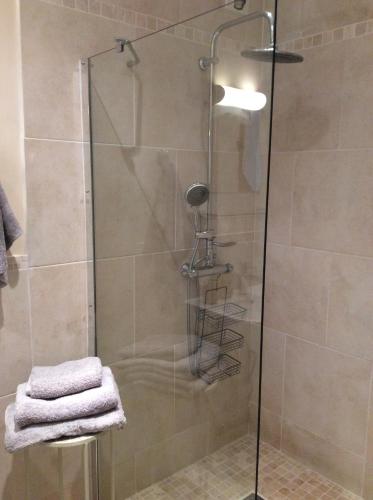 a shower with a glass door in a bathroom at Les Jonquilles in Domme