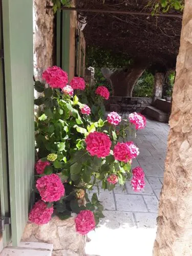 Mas de l'ile photo 10