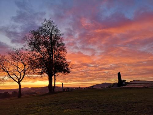 a tree in a field with a sunset in the background at Landgasthof Zum Kirchenwirt in Kellberg