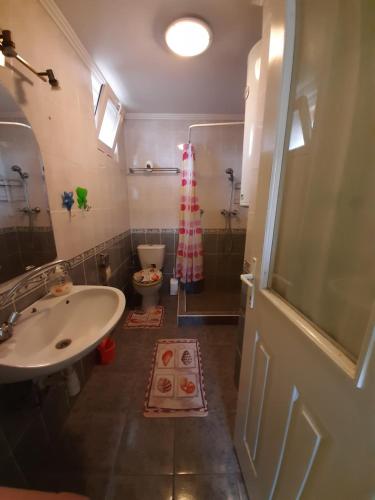 uma casa de banho com um lavatório e um WC em Cserke Gyöngye Apartman em Cserkeszőlő