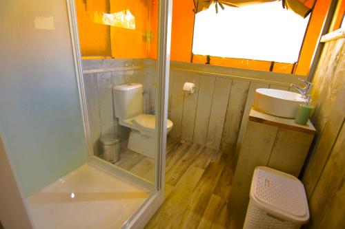 La salle de bains est pourvue d'une douche, de toilettes et d'un lavabo. dans l'établissement Grande Glamping with Pool, à Biograd na Moru