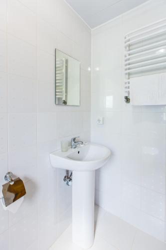 a white bathroom with a sink and a mirror at Shepilska Relax Complex in Dovholuka